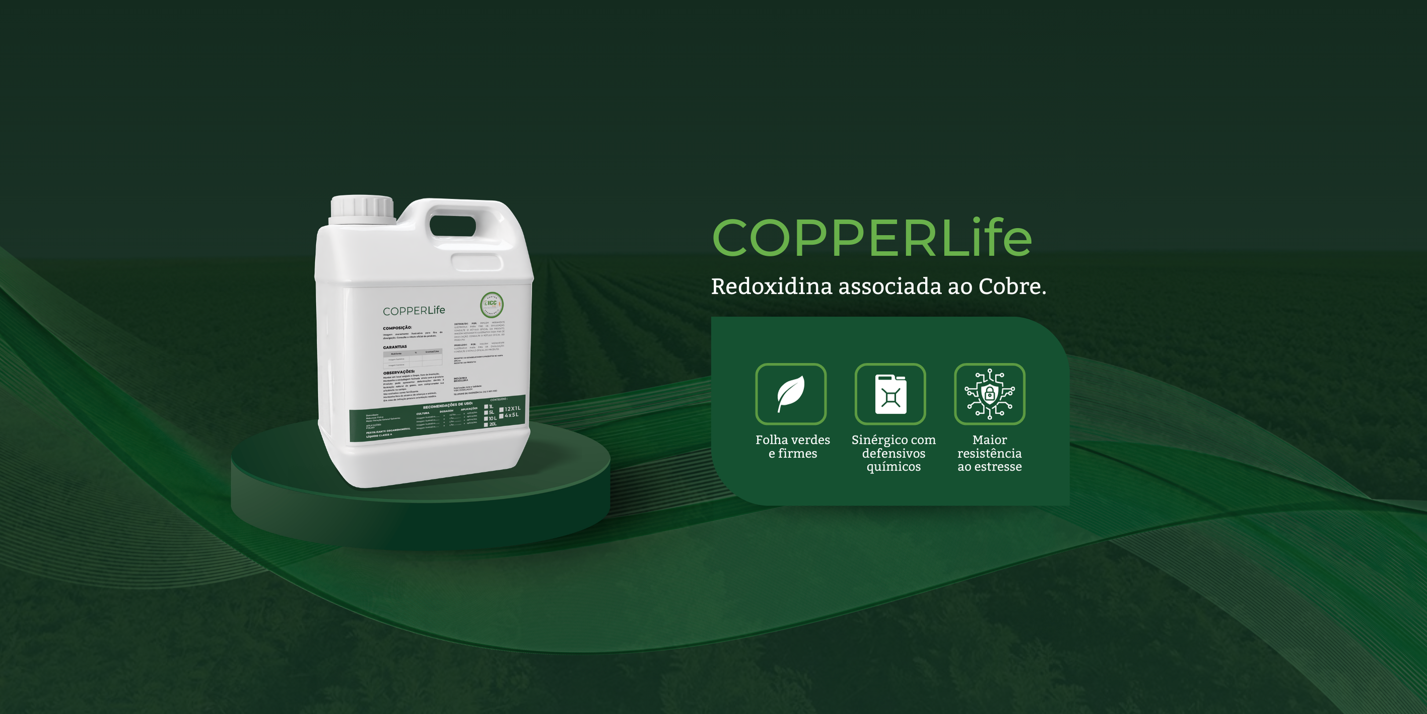 Cópia de Banner SITE COPPERLIFE (6)